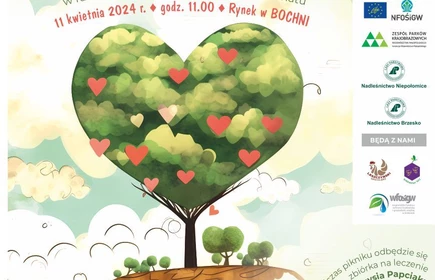 Korona drzewa w kształcie serca. Nad nią napis ekologiczny piknik edukacyjny. Na dole rozpiska programu.  